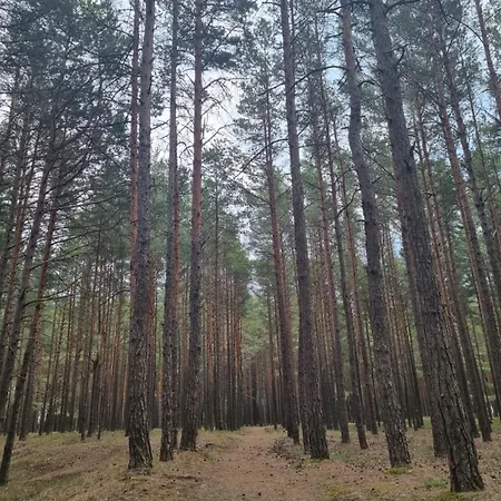 Villa With Private Pool Laumes Juosta Palanga