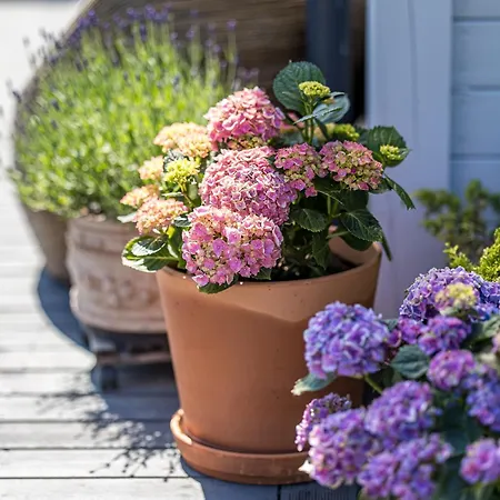 With Private Pool Laumes Juosta Villa