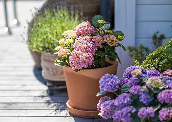 Villa With Private Pool Laumes Juosta Villa